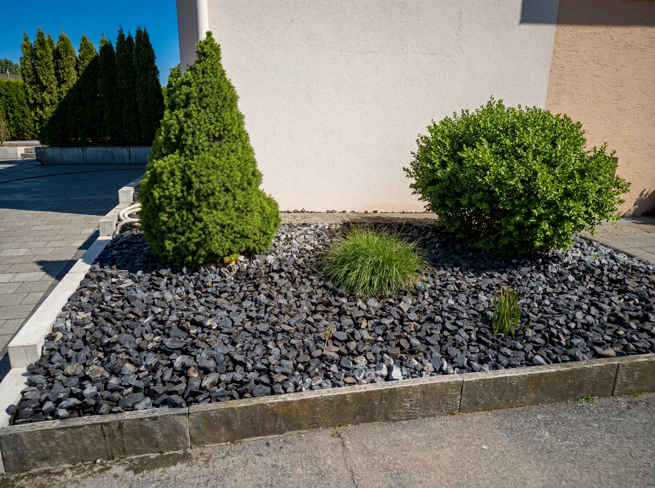 Rollrasen & Bepflanzung 5