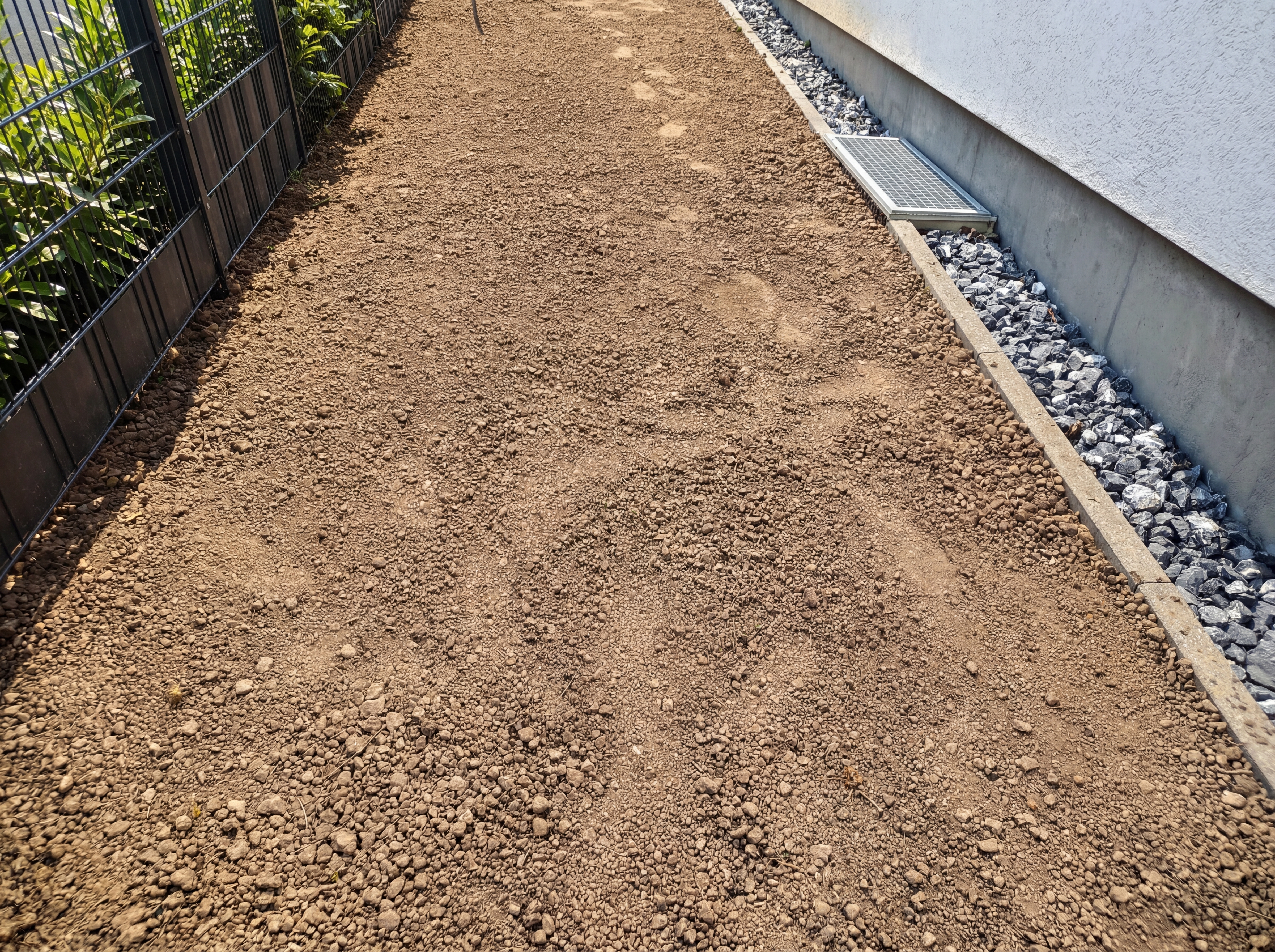 Rollrasen & Bepflanzung 1